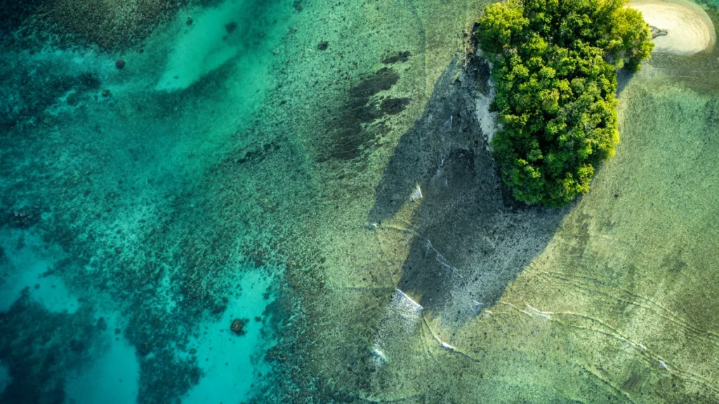 Costa de Espiritu Santo en Vanuatu, Pacífico